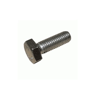 Bullone esagonale inox M10x25 mm